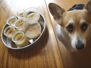イモのなれの果て・その2