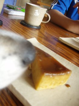 お茶してみました