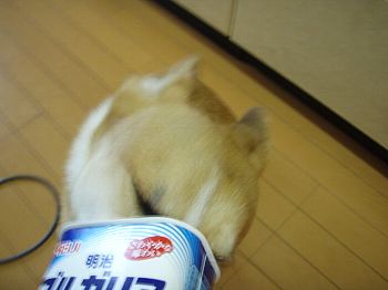 はずかし