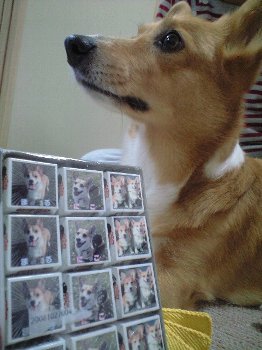 ありがとぉ〜♪