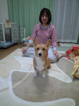ニパニパ!