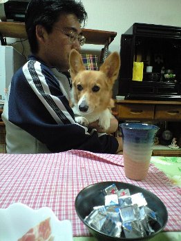 パパ大好き! なんかちょーだいっ!