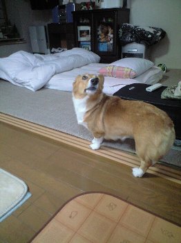うぉ〜ん