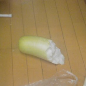 でぇーこん だぎゃぁ。