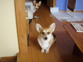 およびで?