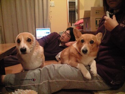 ようお越し!