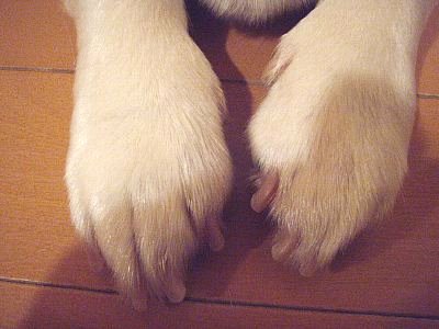 ごめんちゃい。