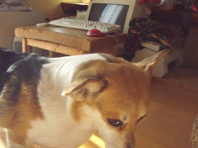 オイコラっ!