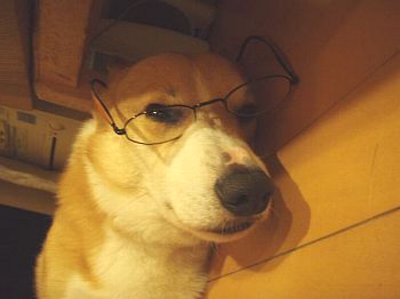 ねたいだけ。