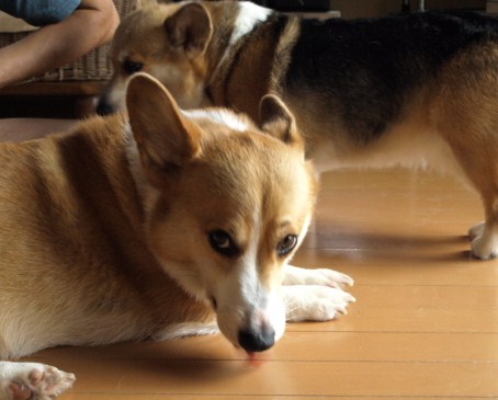 オレは今、モーレツに拗ねているのだ。