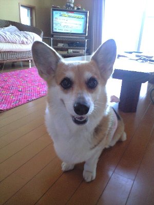 ごめんねぇ〜