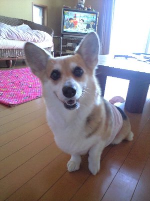 オワビにどうぞぉ〜