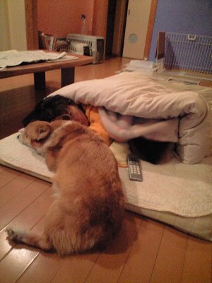 どこにいると思う?