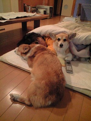 ふんっ!