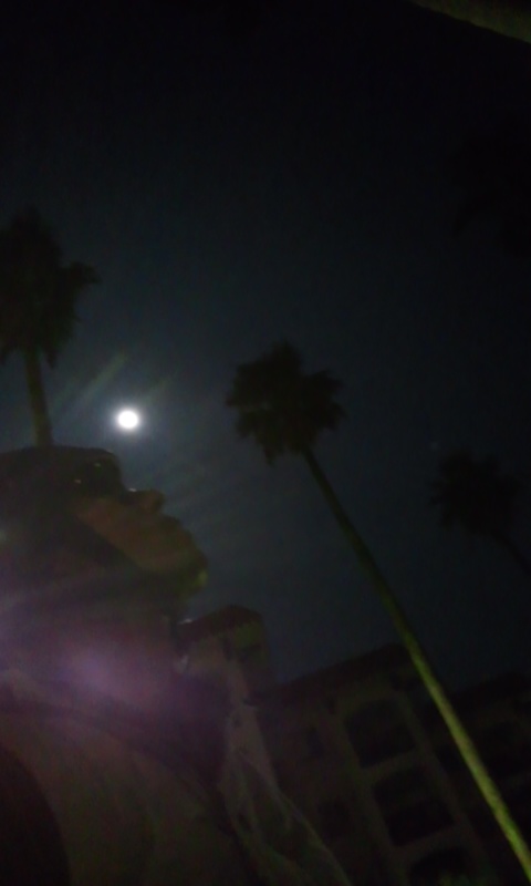 150927_2258~01.jpg