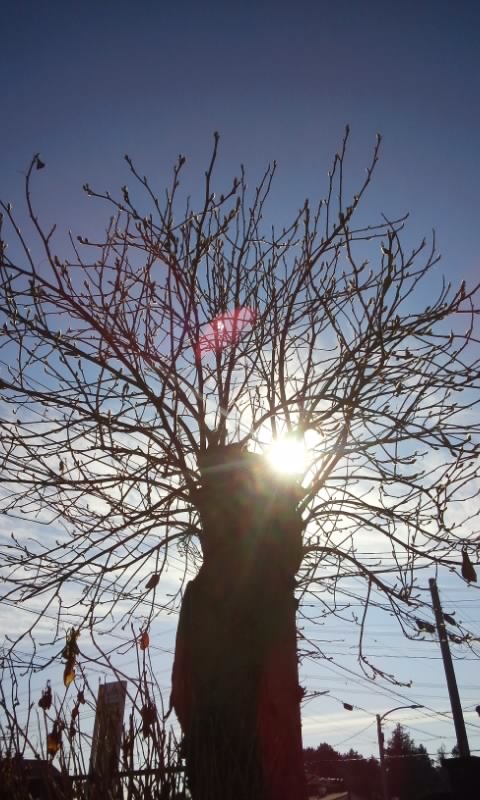 160103_1050~02.jpg