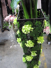 IMG_1483.jpg