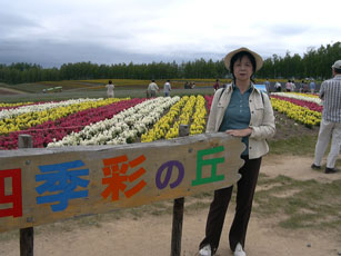 丘一面のお花畑
