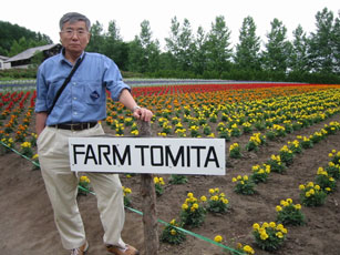 ファーム富田のお花畑