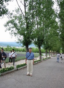 ポプラ並木のメインストリート