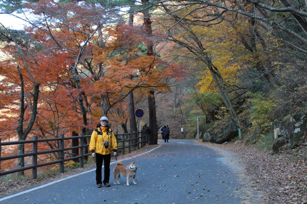 IMG_2218再.JPG