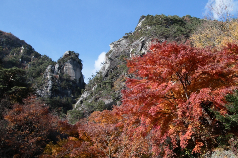 IMG_2341再.JPG