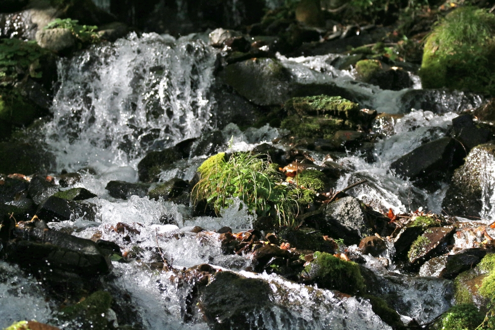 IMG_6863.JPG