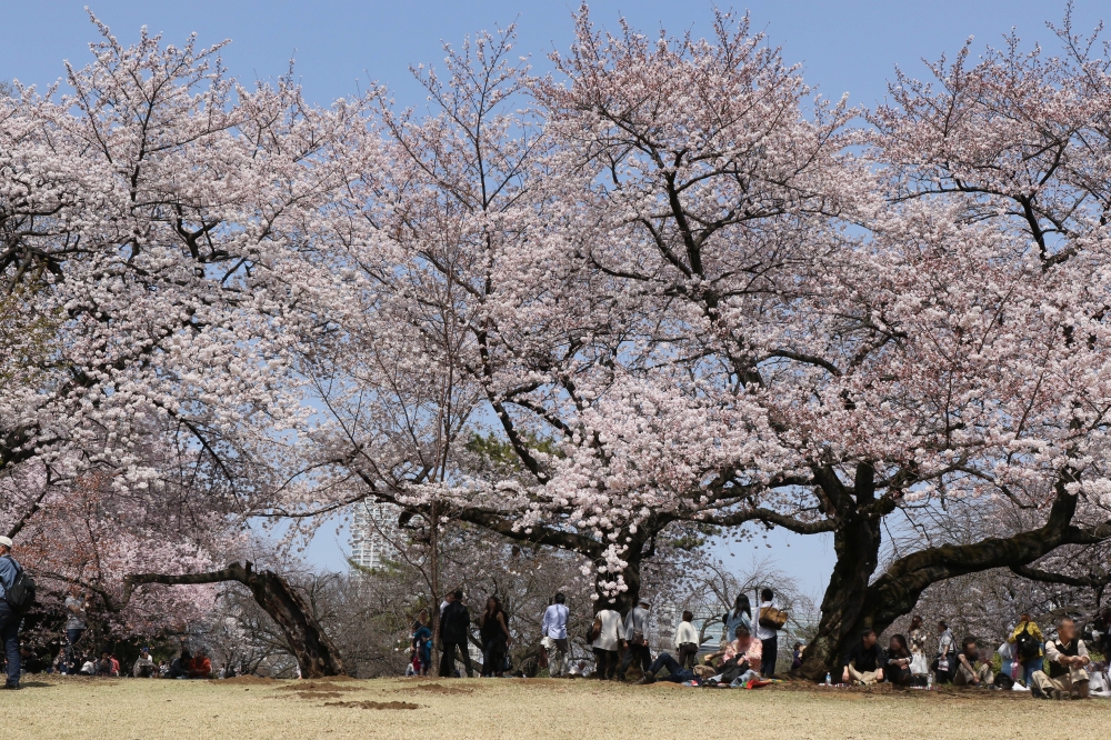 196A2369.JPG ●ぼかし.jpg