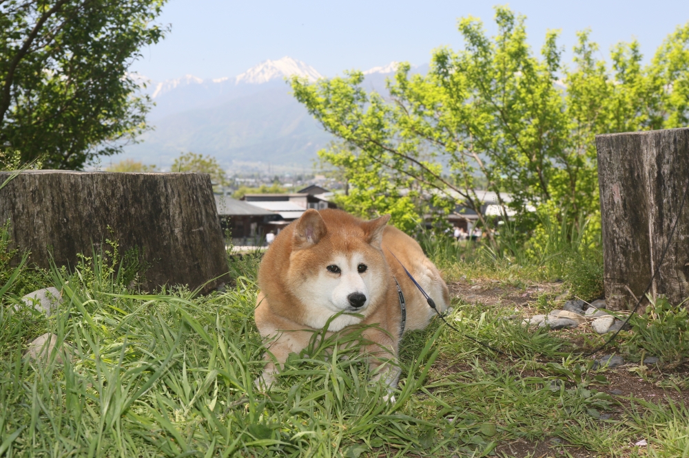 196A4515展望の丘で.JPG