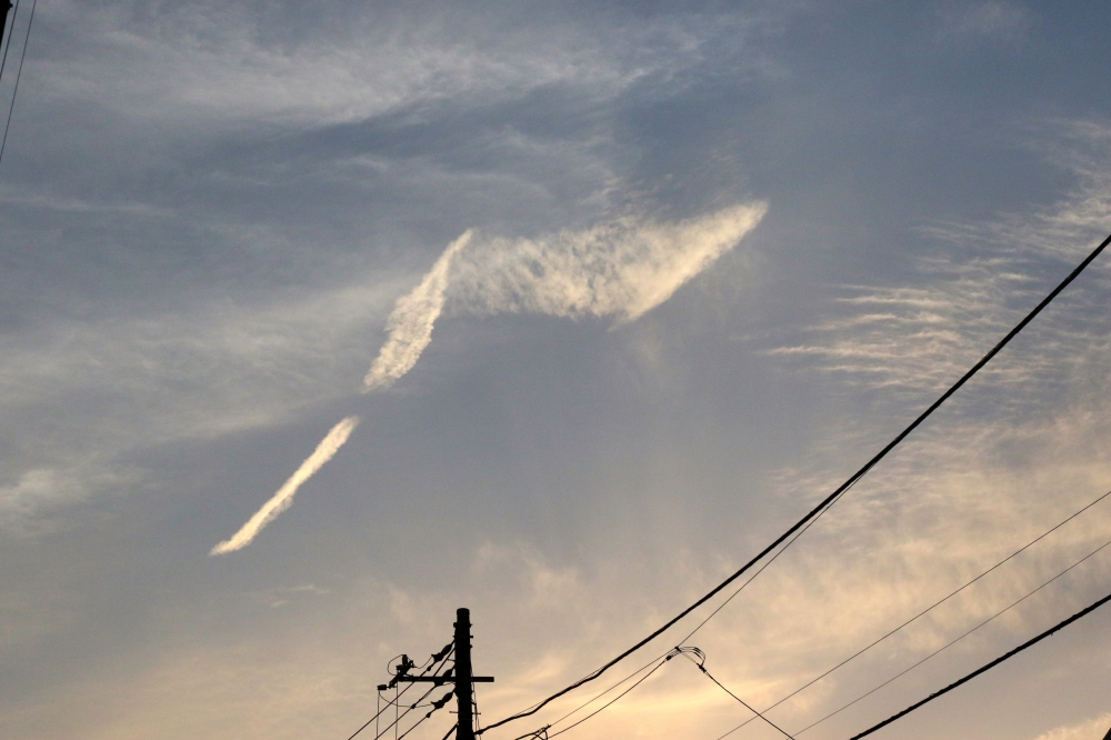 196A5610空にリボン.JPG
