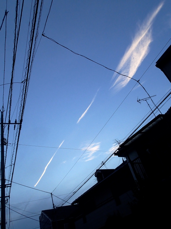 P6110003.jpg