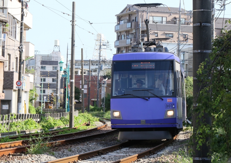 196A9795 307F紫.jpg