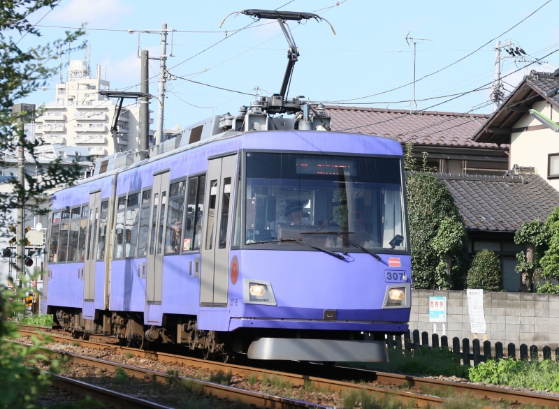 196A9834 307F紫.jpg