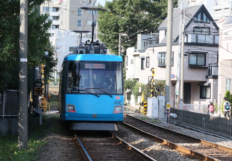 196A9873青.jpg