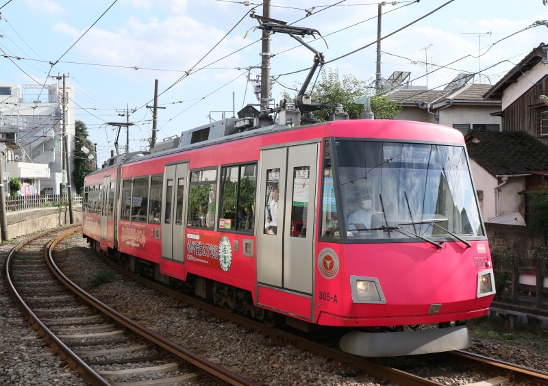 196A9920 305Fピンク.jpg