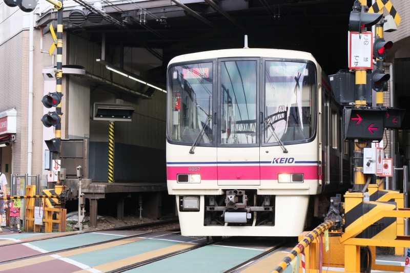 196A9931.jpg