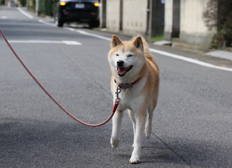 196A9653.jpg