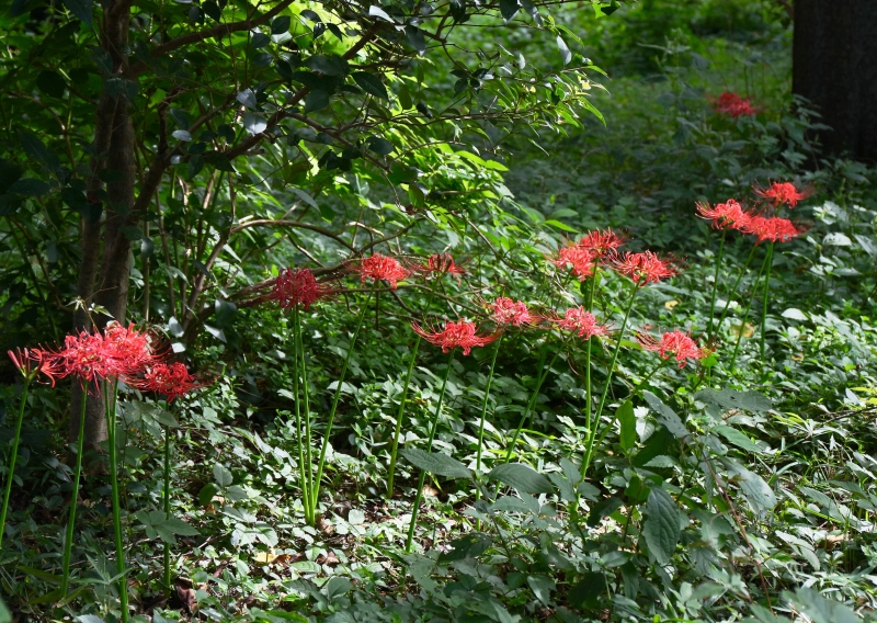 196A9669.jpg
