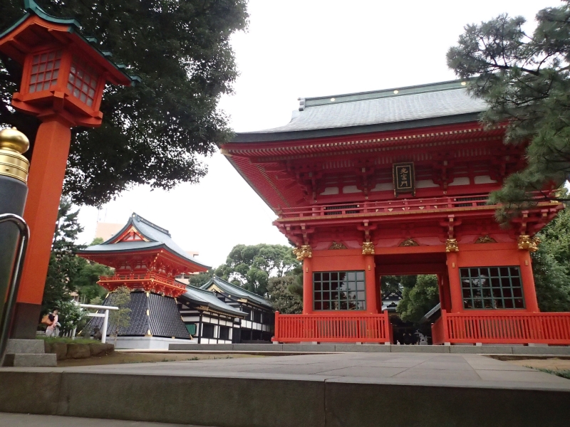 PA100197.jpg