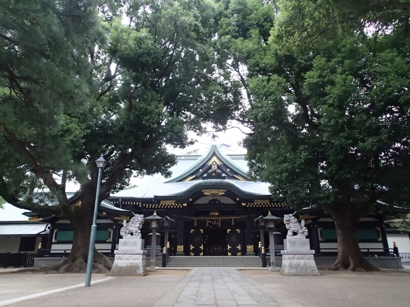 PA100206.jpg