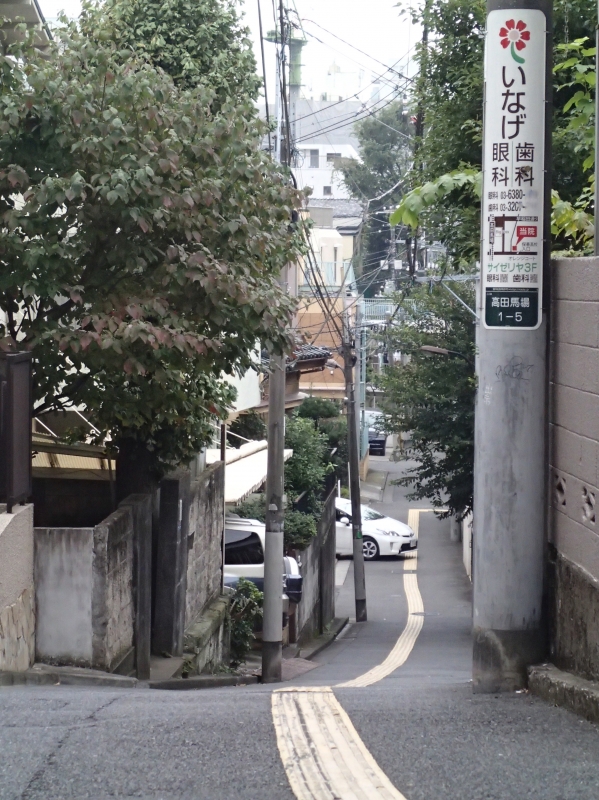 PA100215.jpg