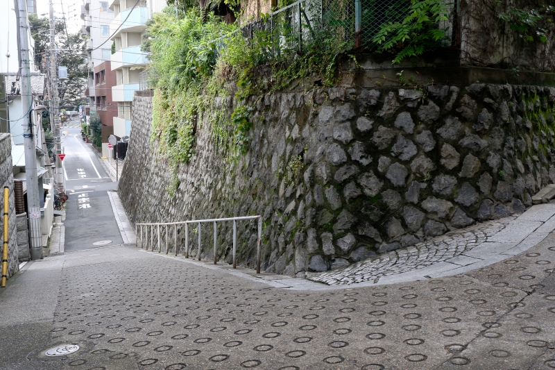 196A0854.jpg