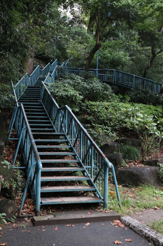196A0922.jpg