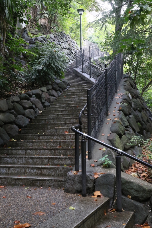 196A0930.jpg