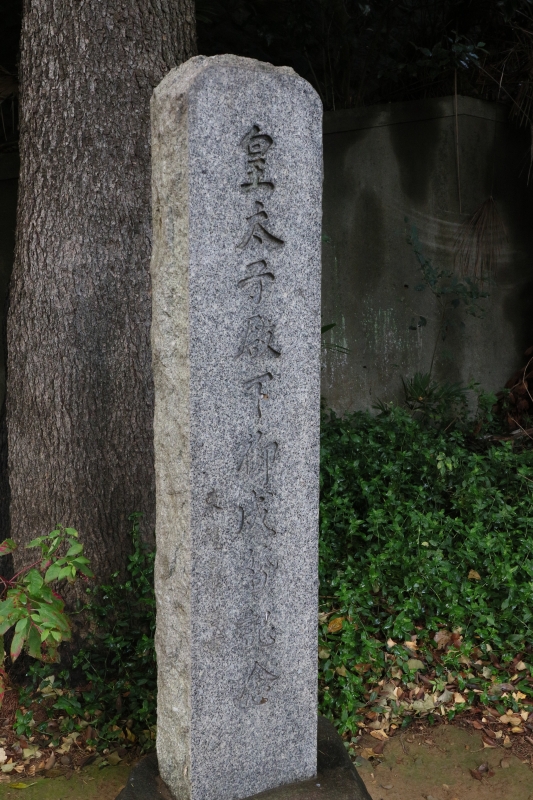 196A0968.jpg