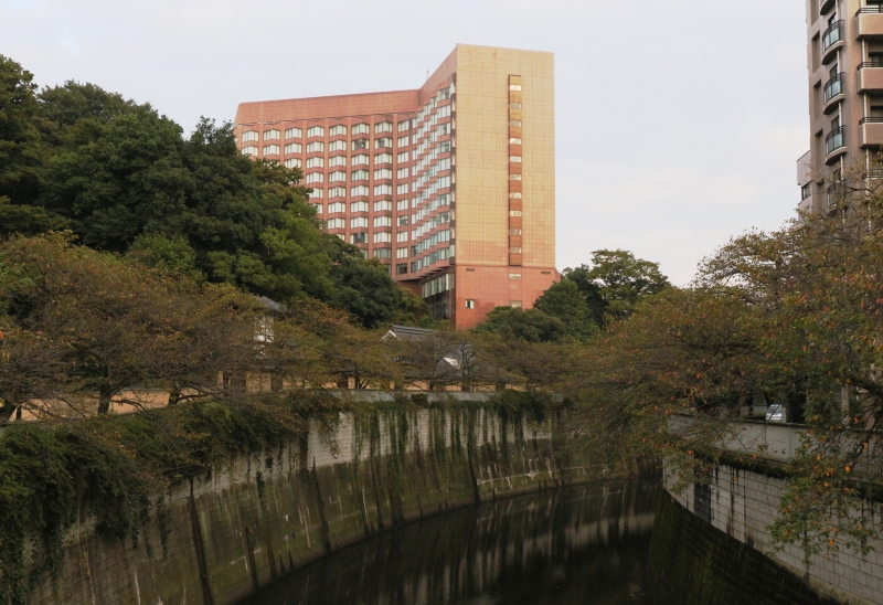 196A0977.jpg