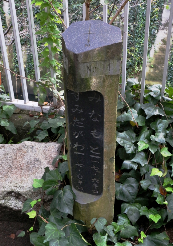 196A1034.jpg