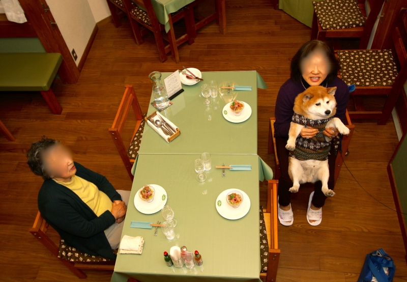 196A7568.jpg