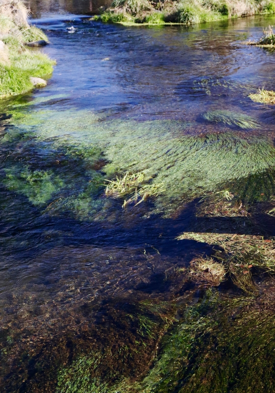 196A7849.jpg