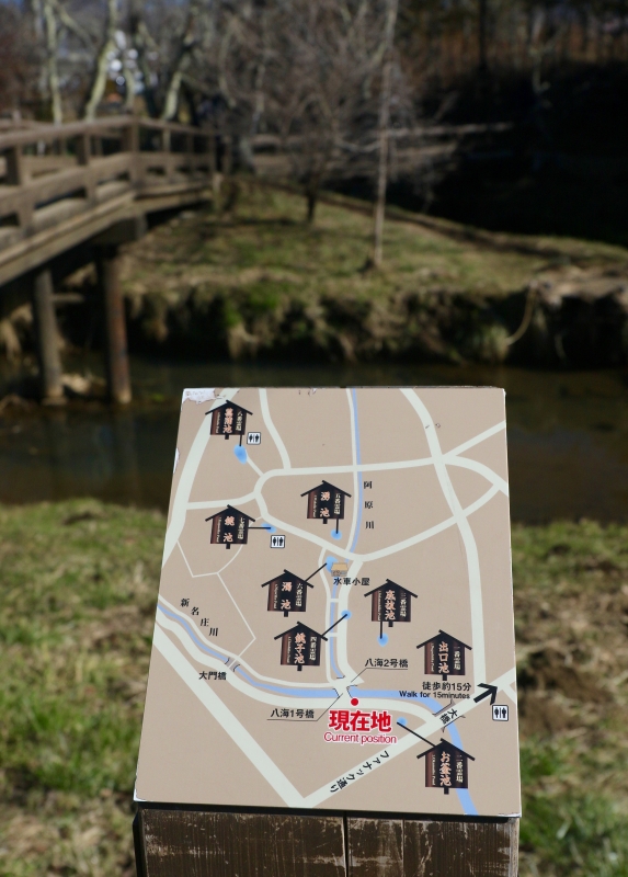 196A7851.jpg